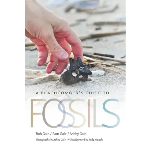 A Beachcomber's Guide to Fossils