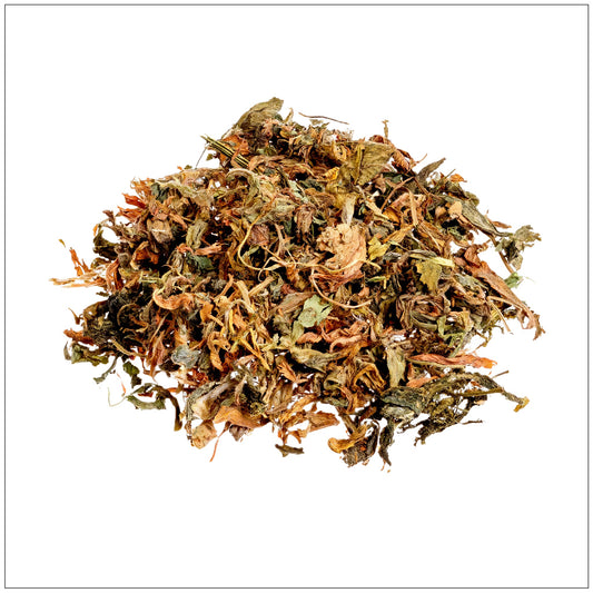 Alfalfa Leaf