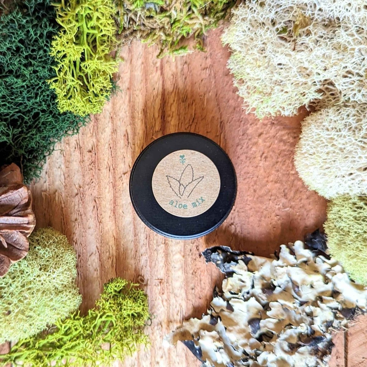 Aloe Mix Seeds