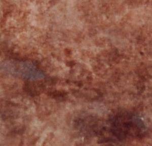Aqua-Stain UV (4oz. sample)