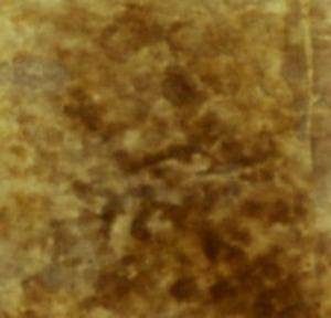 Aqua-Stain UV (4oz. sample)