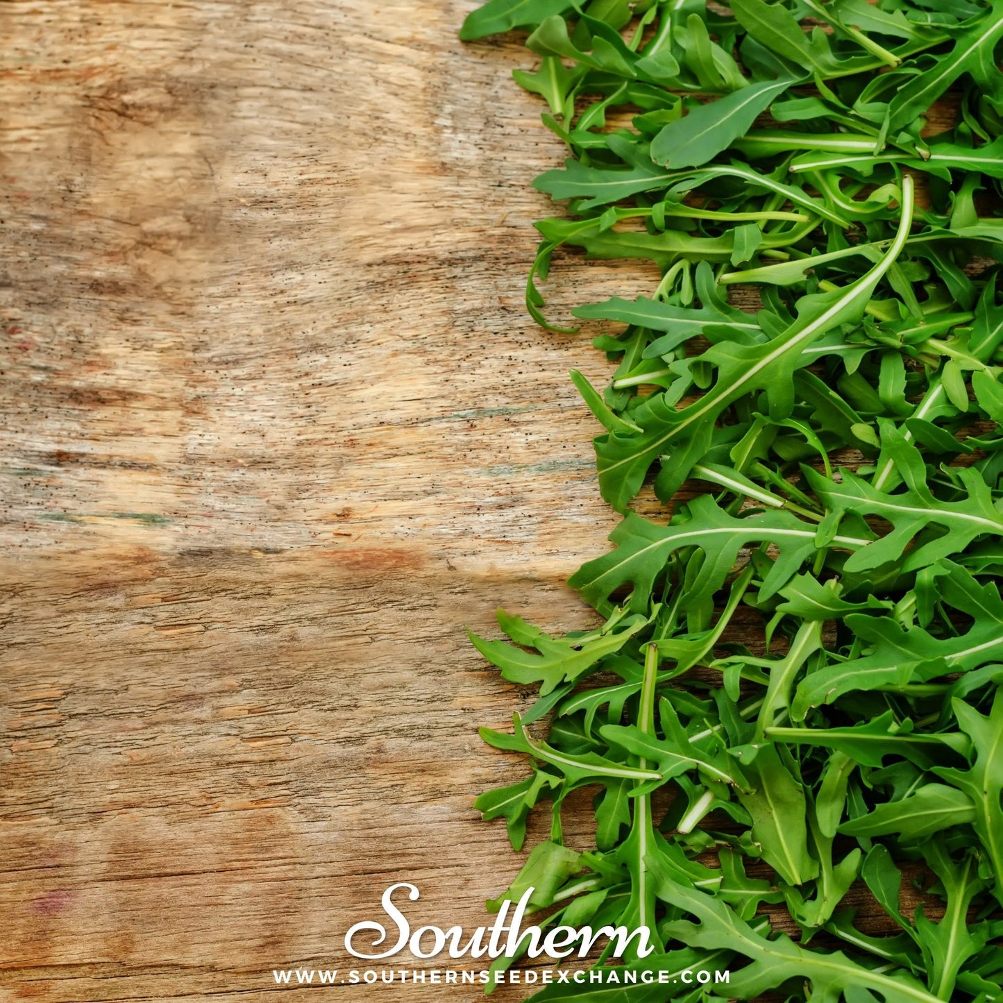 Arugula – 200 Seeds