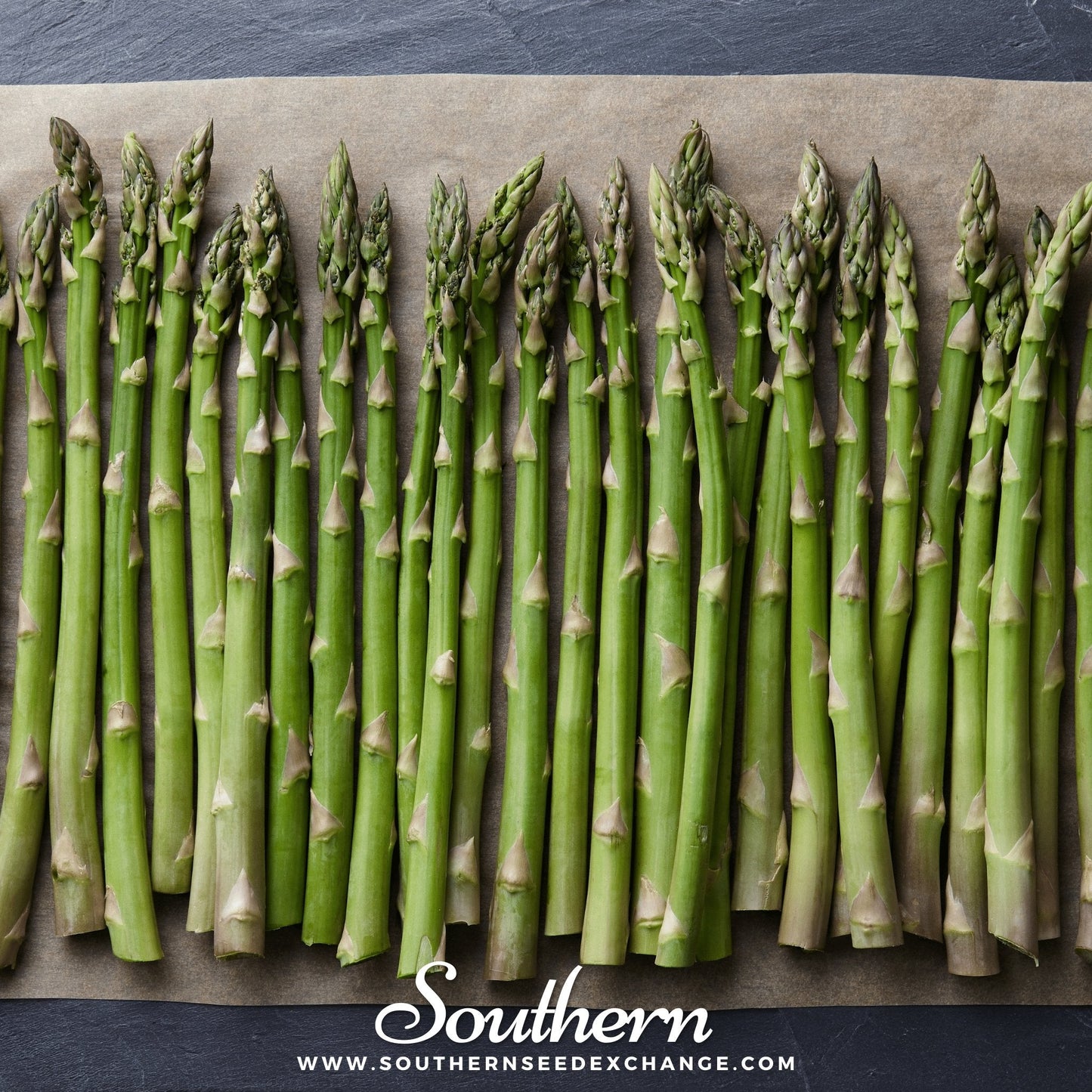Mary Washington Asparagus – 50 Seeds