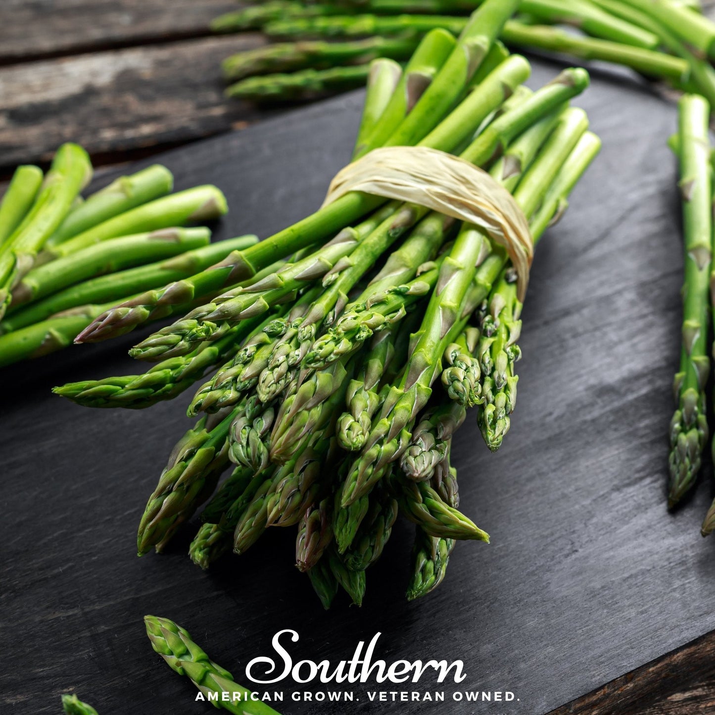 UC157 F2 Asparagus – 50 Seeds