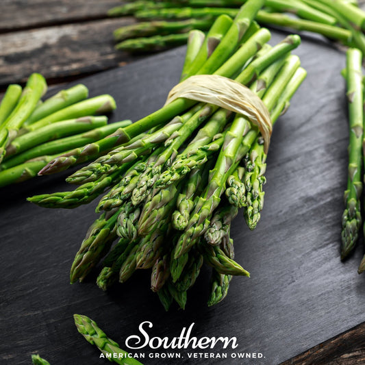 UC157 F2 Asparagus – 50 Seeds