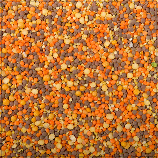 Autumn Blend Lentils