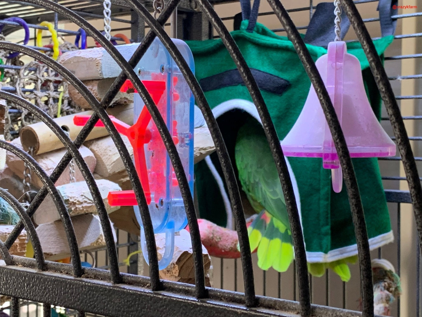 Avian Haven Hut for Pet Birds