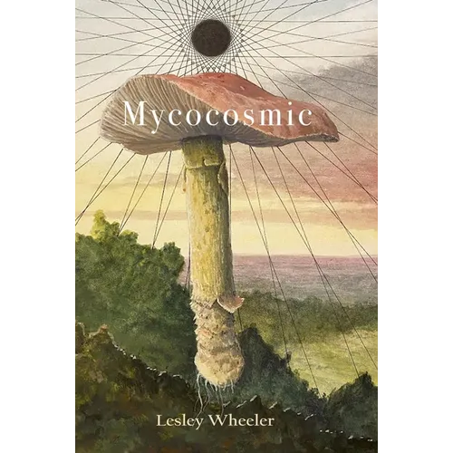 Mycocosmic