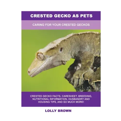 Crested Gecko as Pets: Caring For Your Crested Geckos