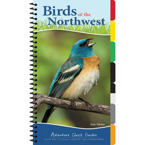 Birds of the Northwest: Your Way to Easily Identify Backyard Birds