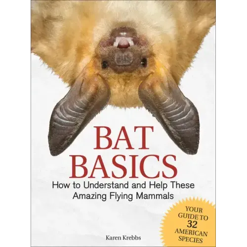 Bat Basics: How to Understand and Help These Amazing Flying Mammals