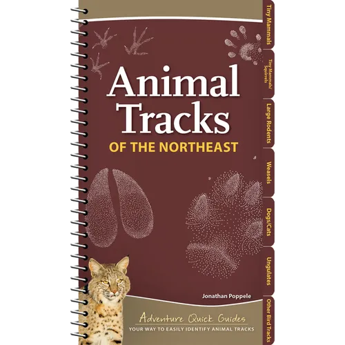 Animal Tracks of the Northeast: Your Way to Easily Identify Animal Tracks