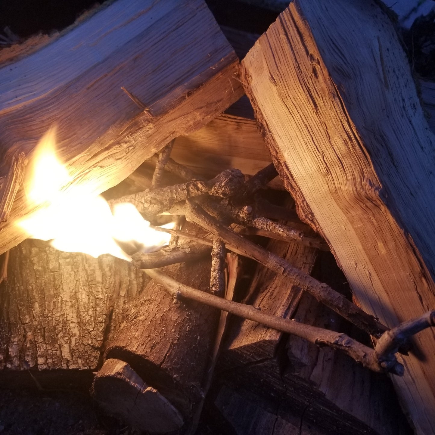 BBQ Grill Firestarters