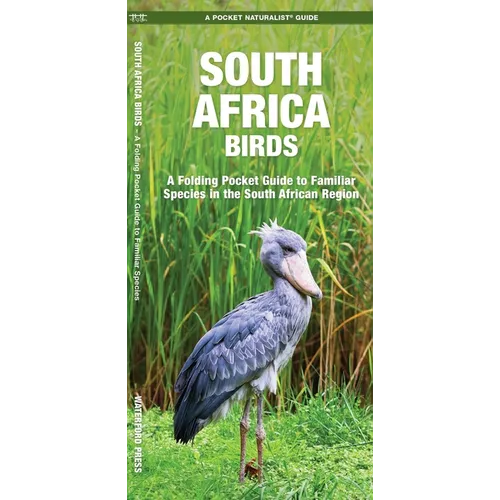 South Africa Birds: A Folding Pocket Guide to Familiar Species in the South African Region