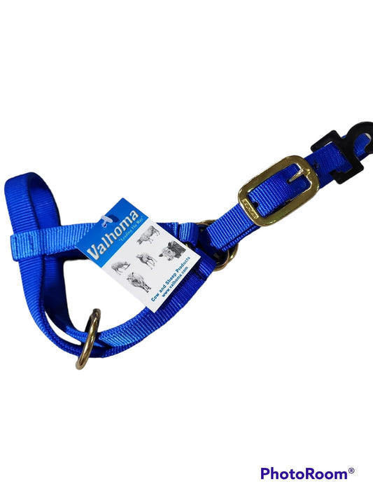 Valhoma: Halter - Goat Kid - Blue