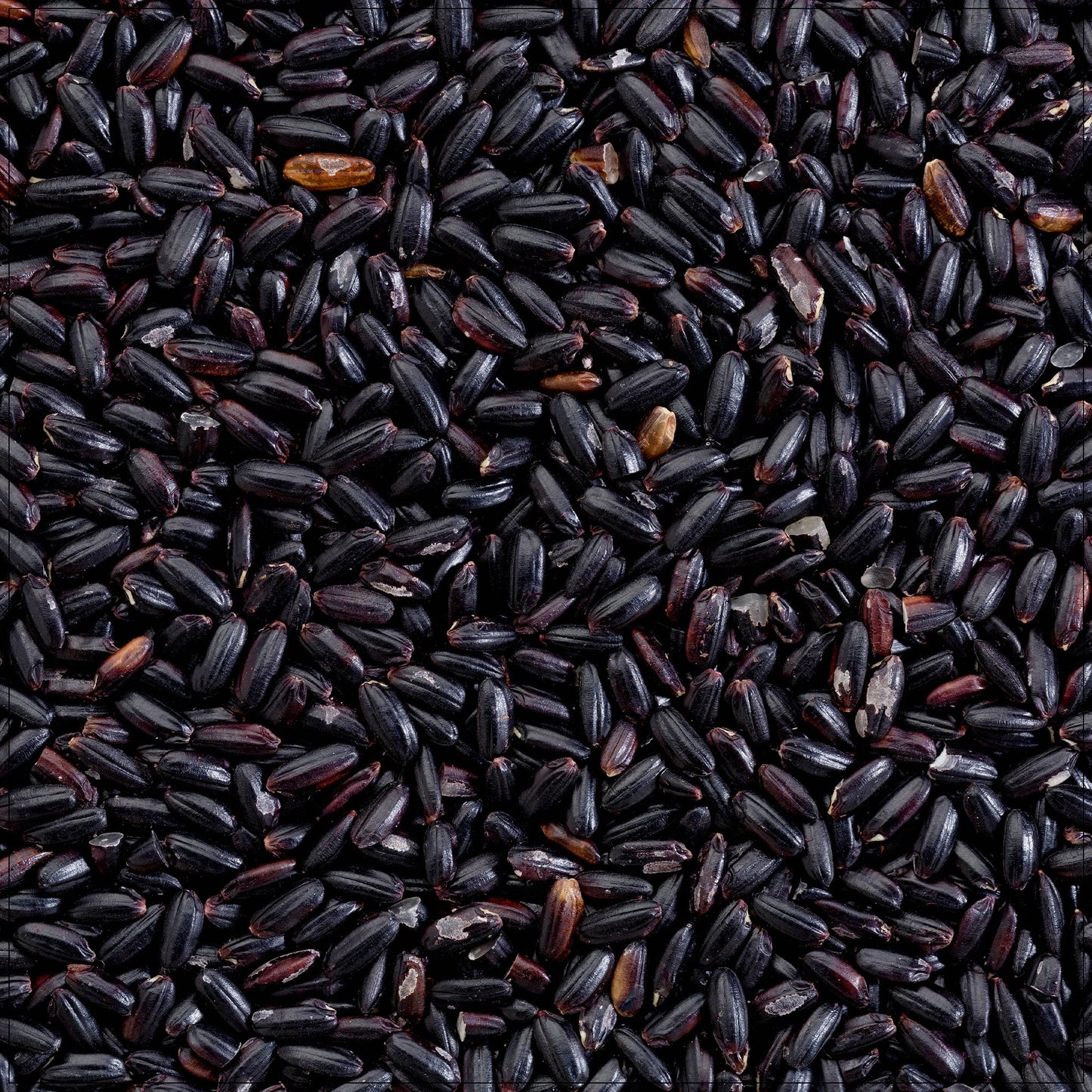 Black Forbidden Rice