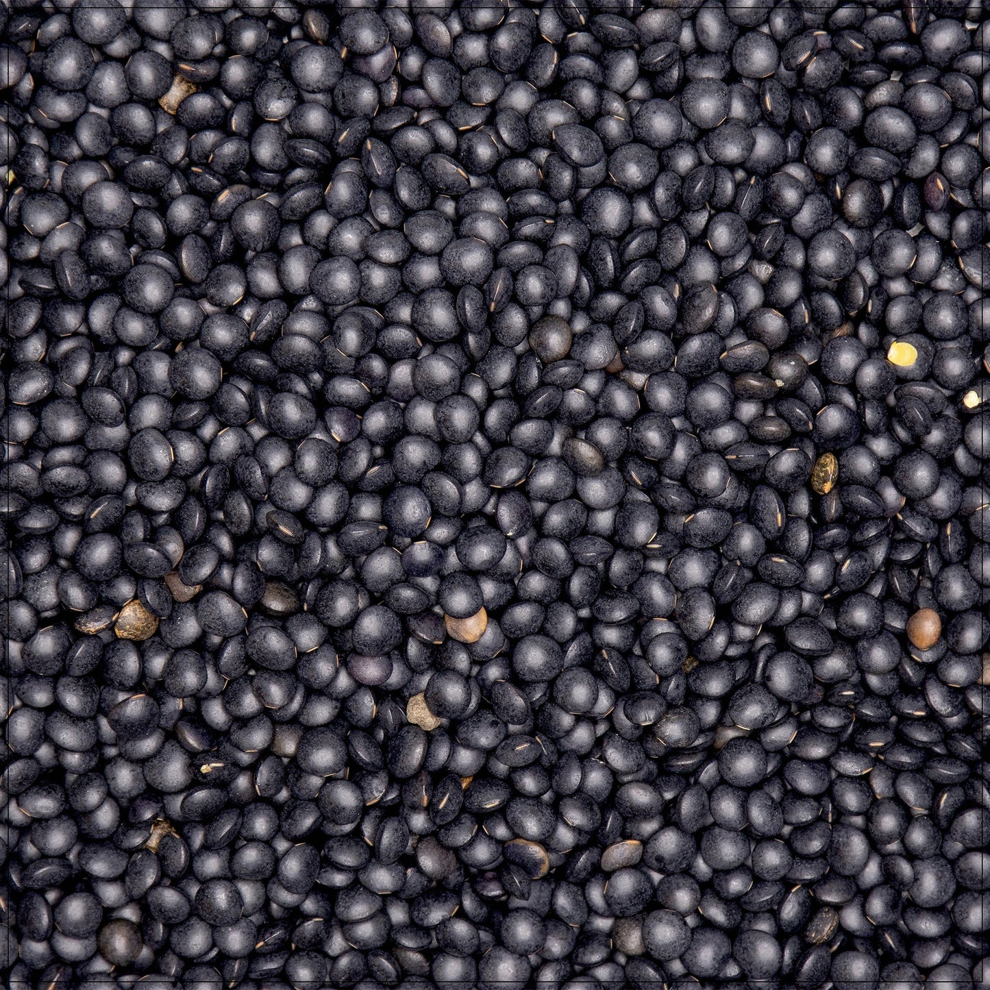 Black Lentils