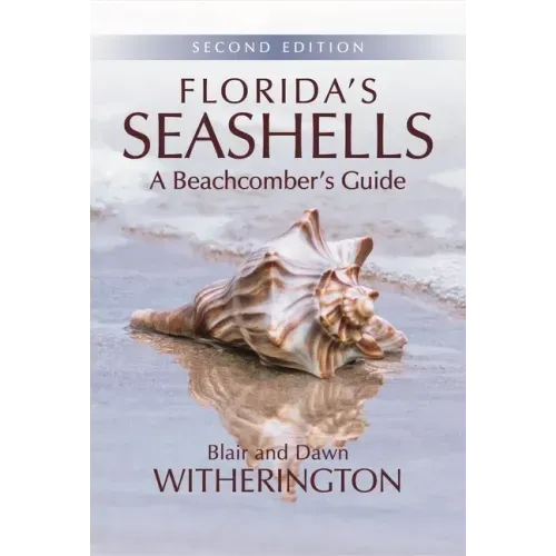 Florida's Seashells: A Beachcomber's Guide