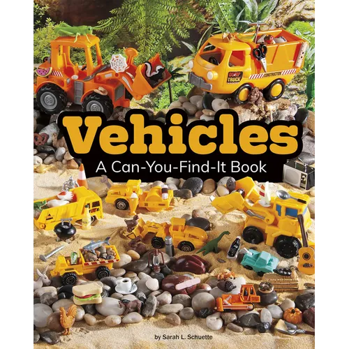 Vehicles: A Can-You-Find-It Book