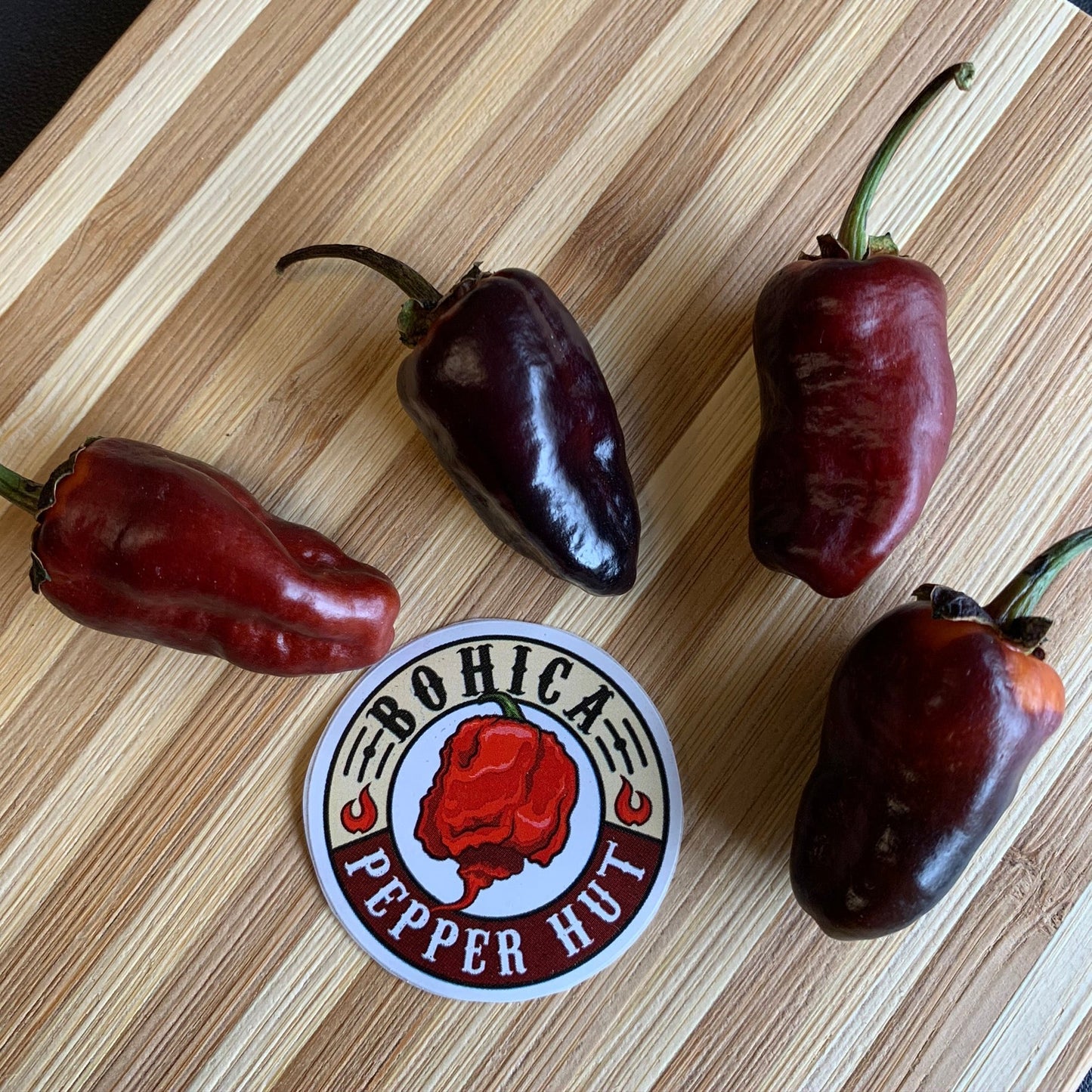 Pimenta Puma - Seeds - Bohica Pepper Hut - Little Red General Store