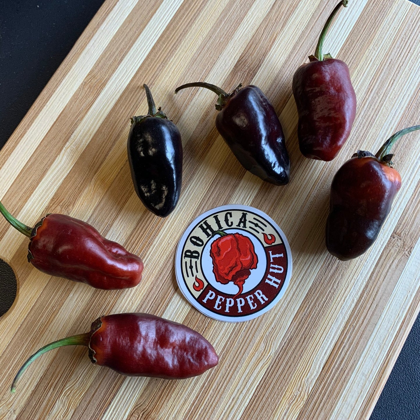 Pimenta Puma - Seeds - Bohica Pepper Hut - Little Red General Store