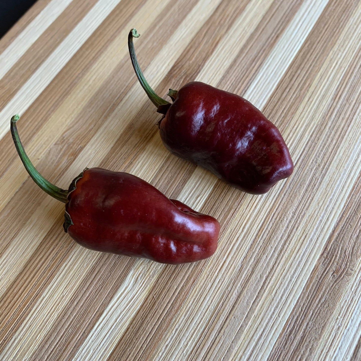Pimenta Puma - Seeds - Bohica Pepper Hut - Little Red General Store