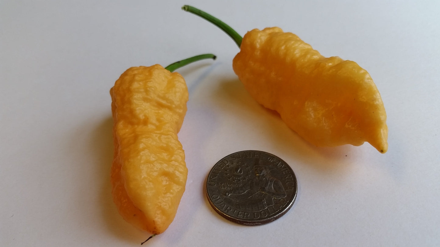 Peach Bhut Jolokia Ghost - Seeds - Bohica Pepper Hut - Little Red General Store