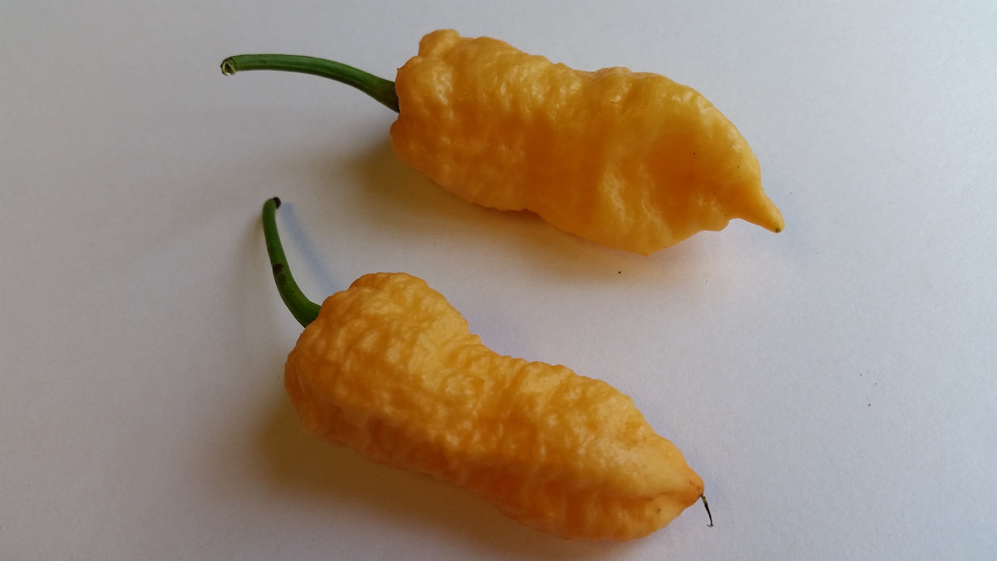 Peach Bhut Jolokia Ghost - Seeds - Bohica Pepper Hut - Little Red General Store