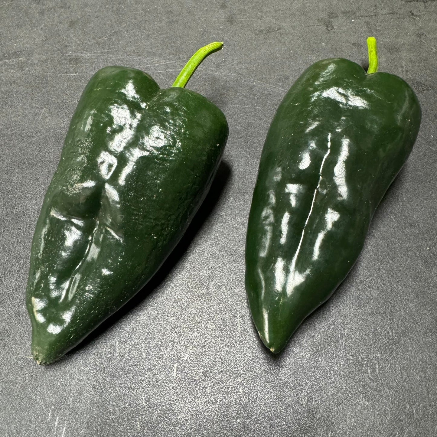 Poblano - Seeds - Bohica Pepper Hut - Little Red General Store