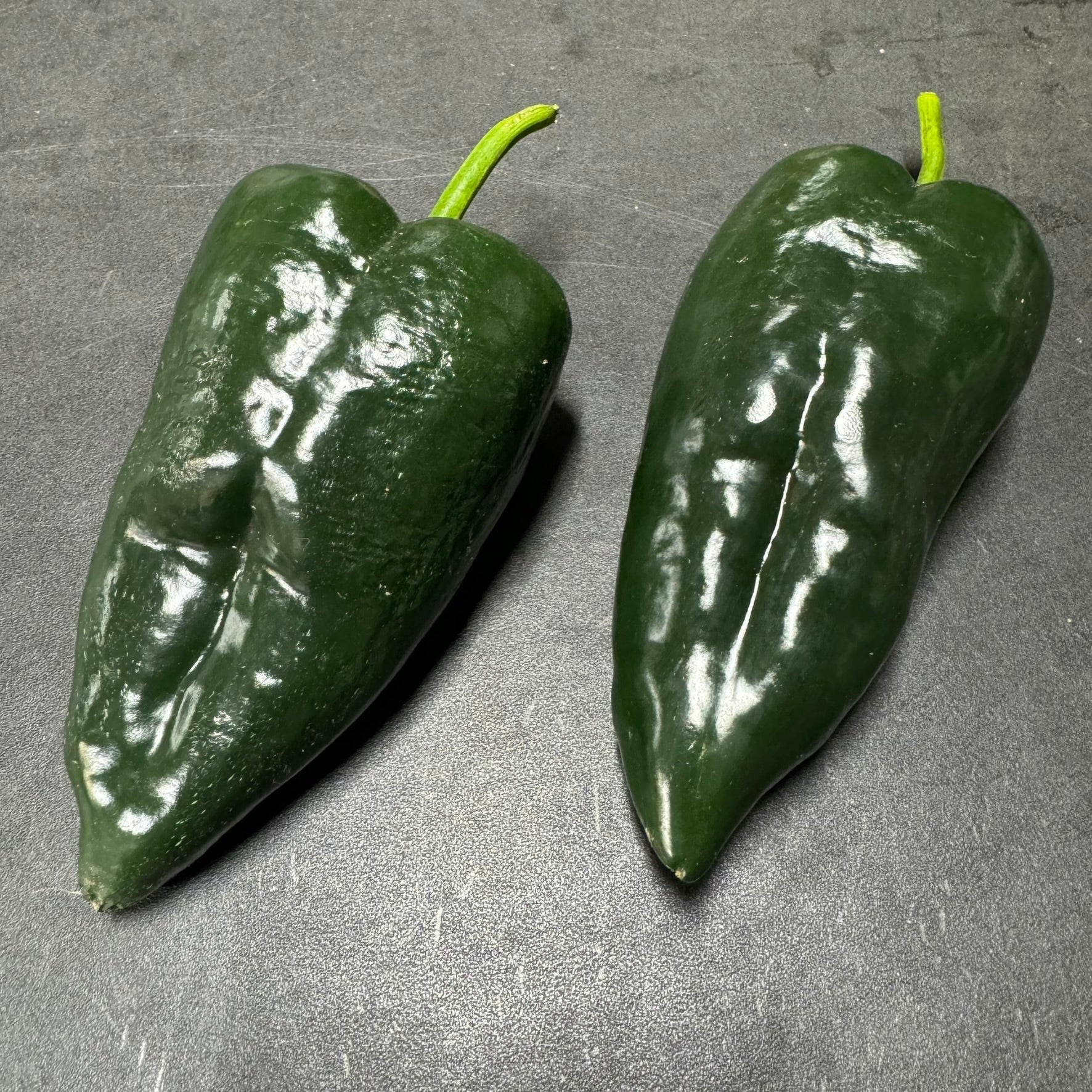 Poblano - Seeds - Bohica Pepper Hut - Little Red General Store