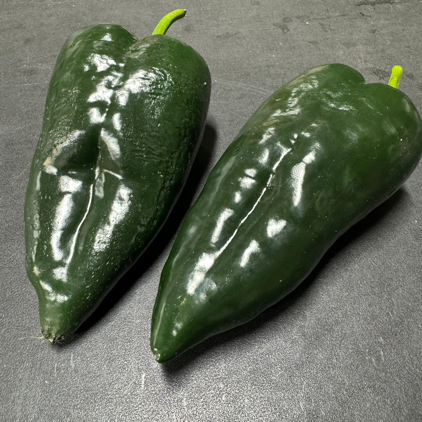 Poblano - Seeds - Bohica Pepper Hut - Little Red General Store