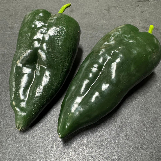 Poblano - Seeds - Bohica Pepper Hut - Little Red General Store
