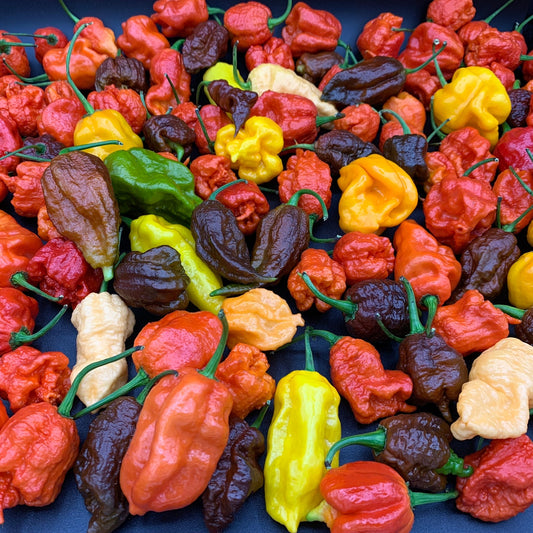 Saturday Market - Fresh Super Hot Peppers - Bohica Pepper Hut - Little Red General Store