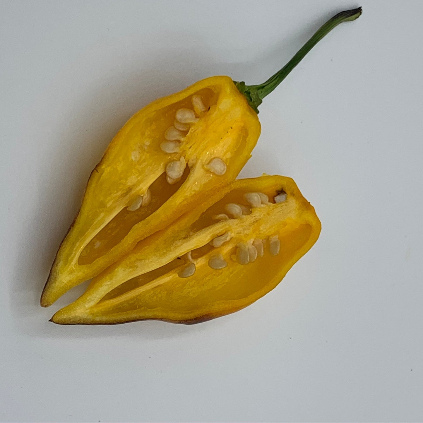 Pimenta Black Bhut - Seeds - Bohica Pepper Hut - Little Red General Store