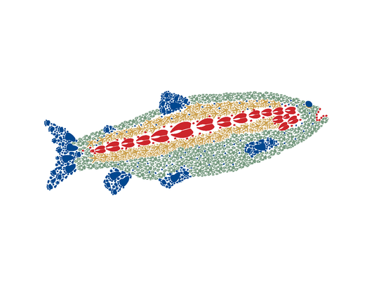 Trout Notes - Bold Spark Design & Stationary - Little Red General Store