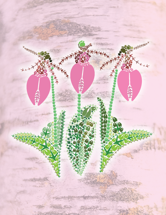 Pink Lady's Slippers Stationery - Bold Spark Design & Stationary - Little Red General Store