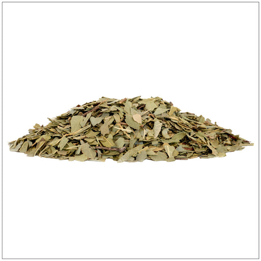 Boldo Leaf