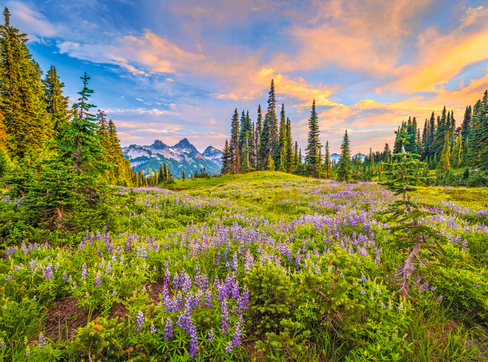 2000 Piece Jigsaw Puzzle, Blossoms of Morning, Landscape puzzles, Meadow, Mountain view, Adult Puzzle, Castorland C - 200863 - 2 - Bridge Toys - Premium Jigsaw Puzzles - Little Red General Store