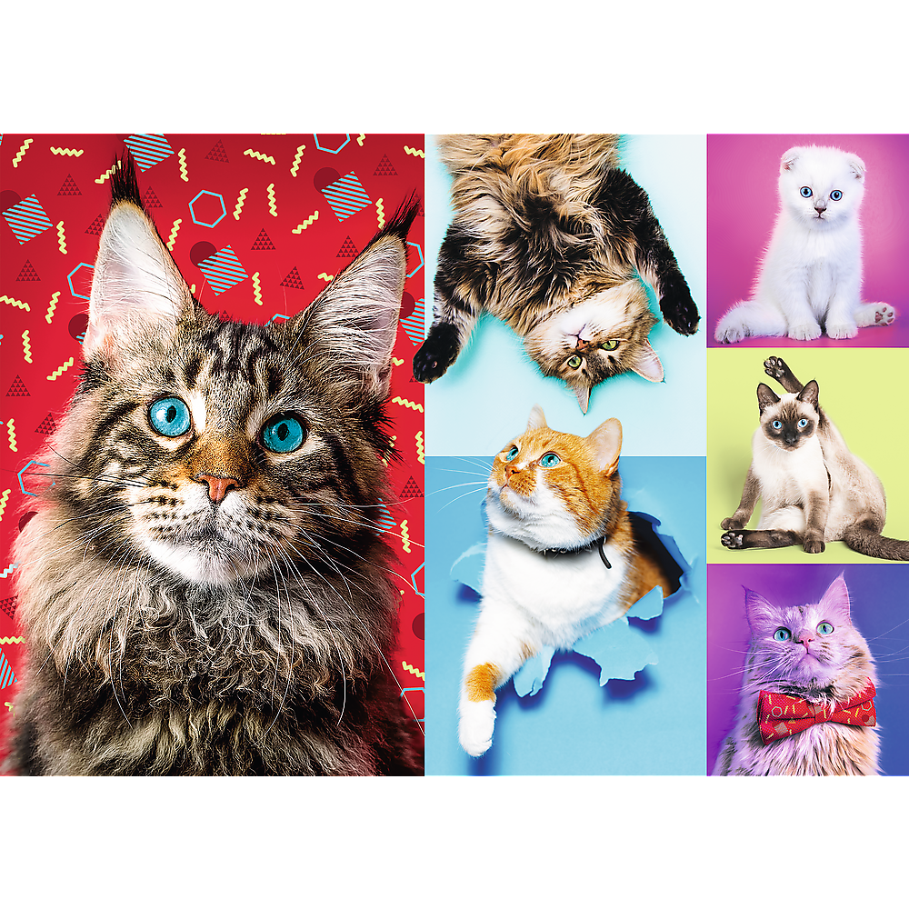 1000 Piece Jigsaw Puzzles, Happy Cats, Pets, Silly Animals, Cats and Kittens, Adult Puzzles, Trefl 10591 - Bridge Toys - Premium Jigsaw Puzzles - Little Red General Store