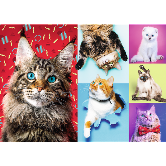 1000 Piece Jigsaw Puzzles, Happy Cats, Pets, Silly Animals, Cats and Kittens, Adult Puzzles, Trefl 10591 - Bridge Toys - Premium Jigsaw Puzzles - Little Red General Store