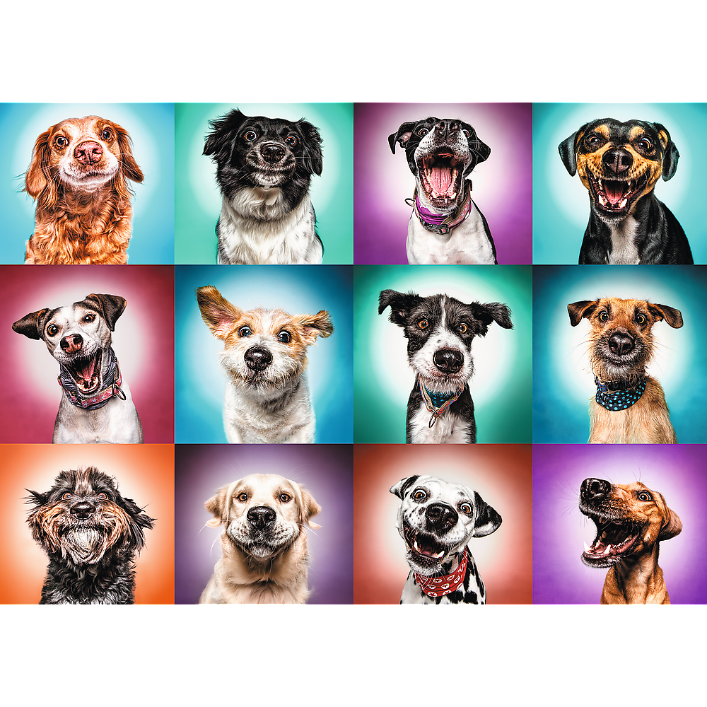 2000 piece Jigsaw Puzzles - Funny dog portraits II, Pets Puzzle, Adult Puzzles, Trefl 27119 - Bridge Toys - Premium Jigsaw Puzzles - Little Red General Store