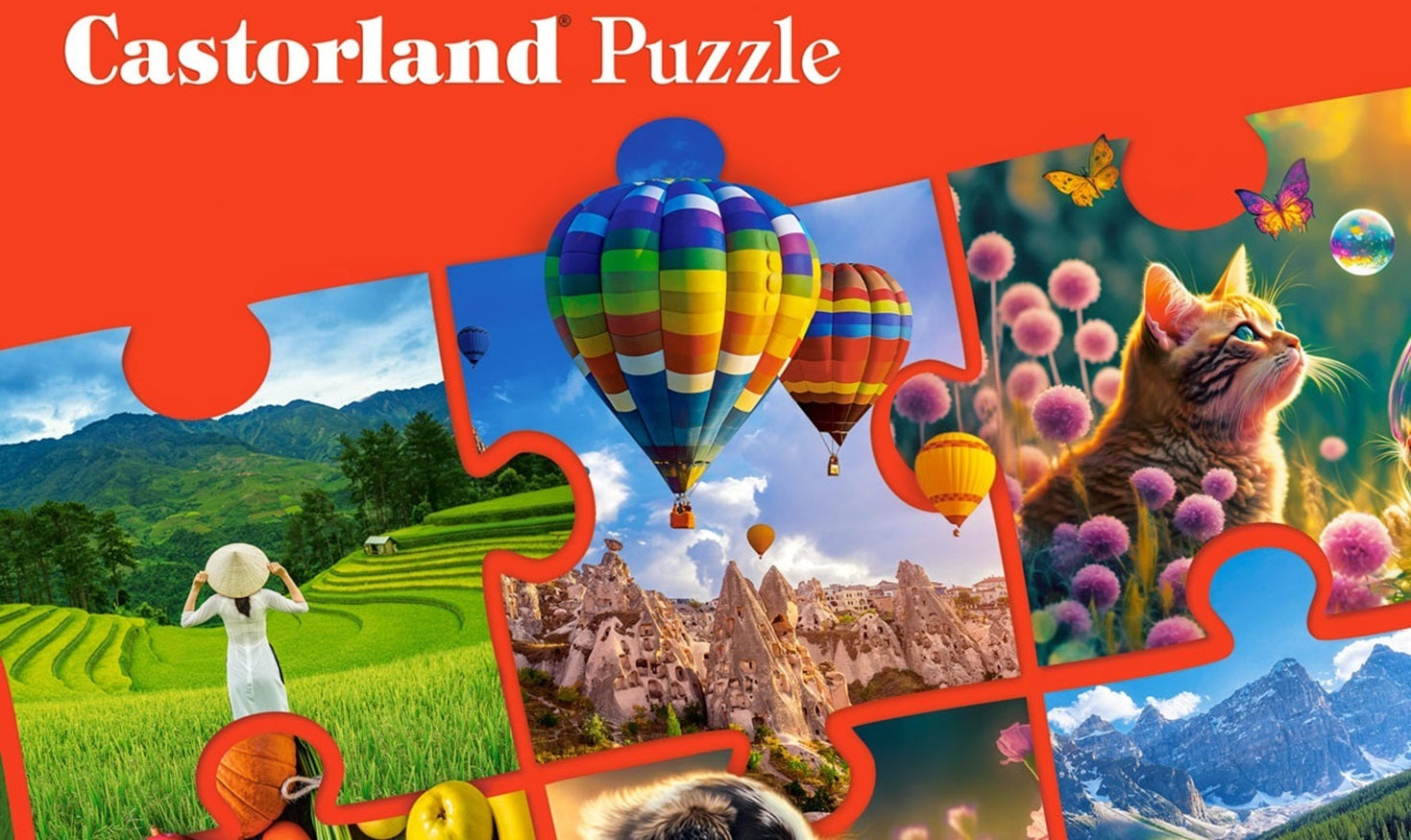1000 Piece Jigsaw Puzzle, Cinderella's Castle, Fairytale scenery, Adult Puzzle, Castorland C - 105243 - 2 - Bridge Toys - Premium Jigsaw Puzzles - Little Red General Store