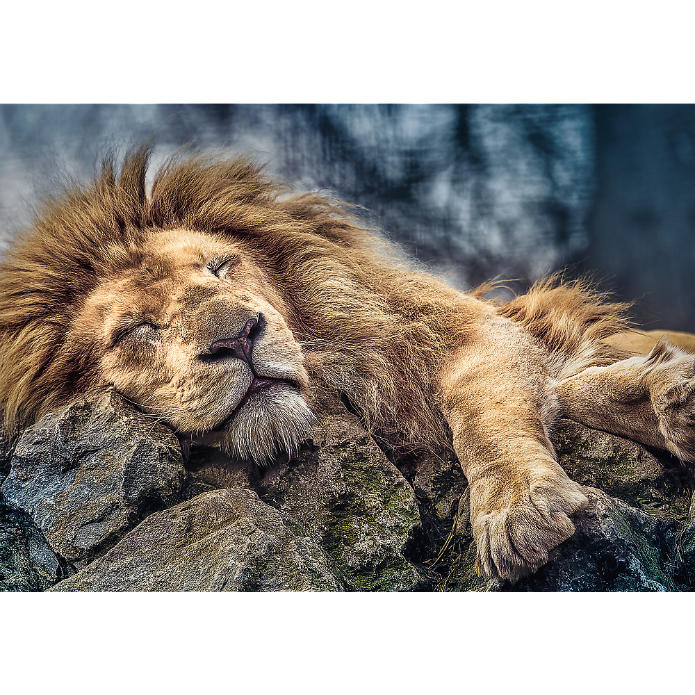 1000 Piece Jigsaw Puzzles, Sleeping Lion, Wild Animal Puzzle, Big Cats Puzzle, Adult Puzzles, Trefl 10447 - Bridge Toys - Premium Jigsaw Puzzles - Little Red General Store