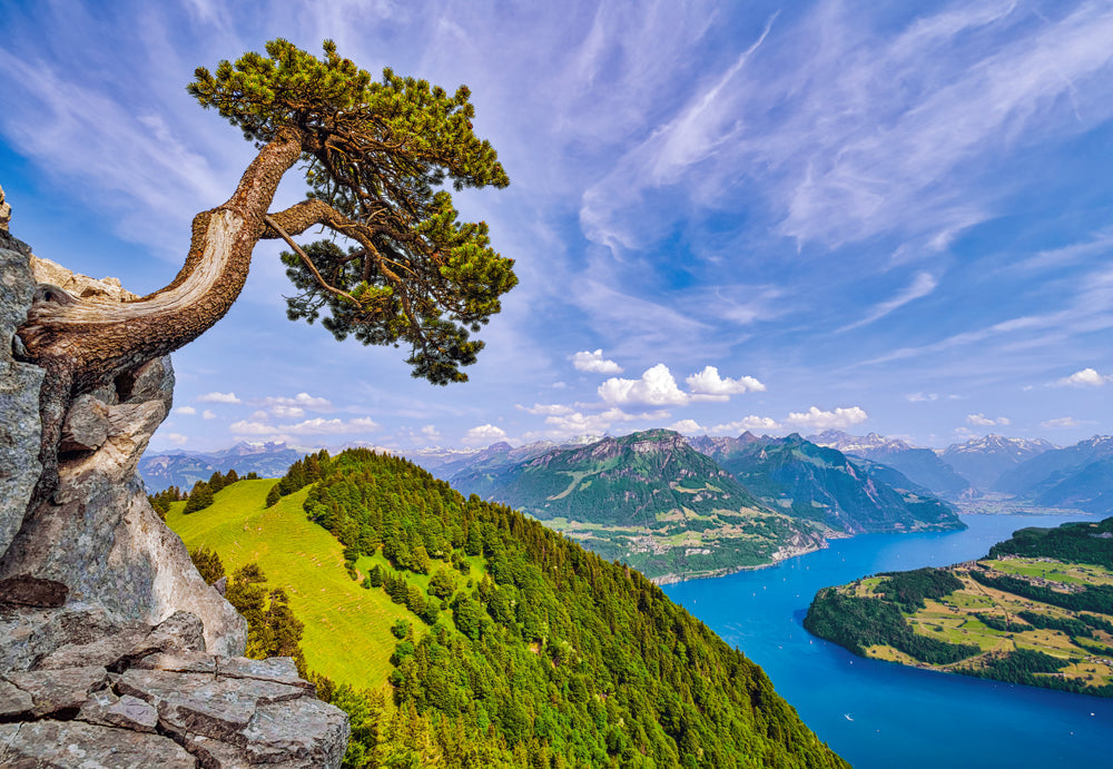 1000 Piece Jigsaw Puzzle, View of the Lake of Uri, Switzerland, Landscape puzzle, Mountain view, Adult Puzzle, Castorland C - 105311 - 2 - Bridge Toys - Premium Jigsaw Puzzles - Little Red General Store