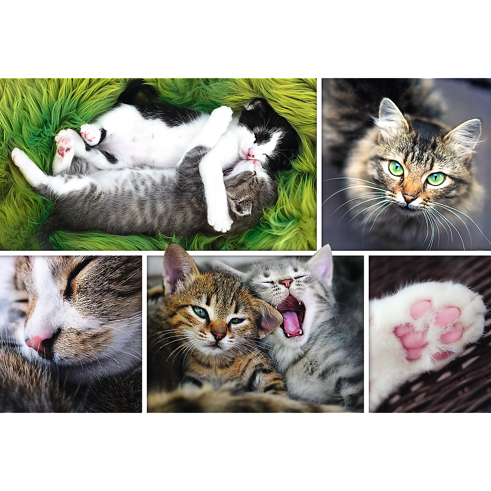 1500 Piece Jigsaw Puzzle, Just Cat Things Collage, Pets, Cats and Kittens, Animal Collage, Adult Puzzles, Trefl 26145 - Bridge Toys - Premium Jigsaw Puzzles - Little Red General Store