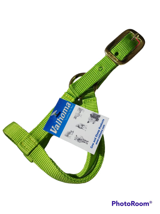 Valhoma: Halter - Goat Kid - Lime Green