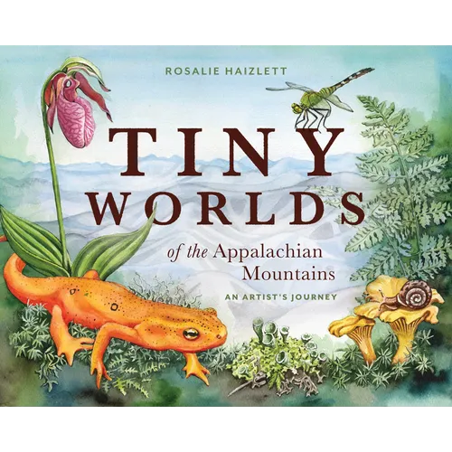 Tiny Worlds of the Appalachian Mountains: An Artist's Journey