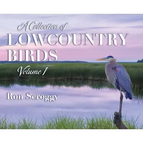 A Collection of Lowcountry Birds