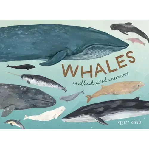Whales: An Illustrated Celebration