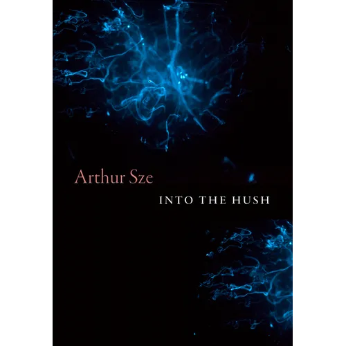 Into the Hush